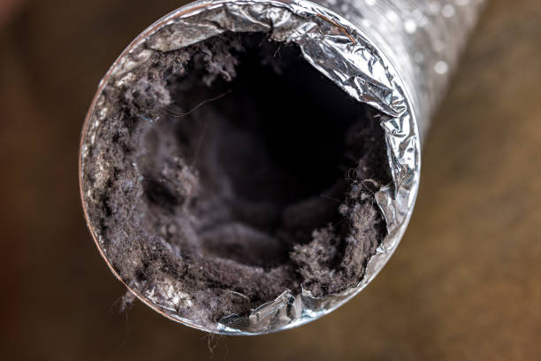 Affordable HVAC Duct Cleaning in Bear Valley Springs, CA